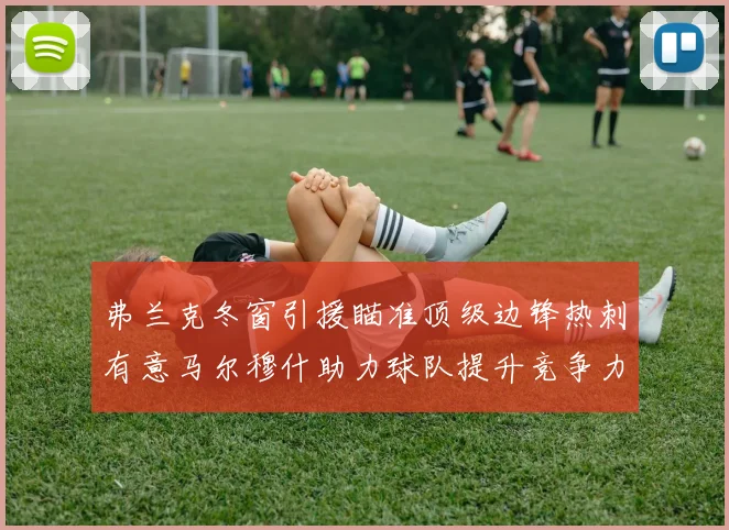 弗兰克冬窗引援瞄准顶级边锋热刺有意马尔穆什助力球队提升竞争力