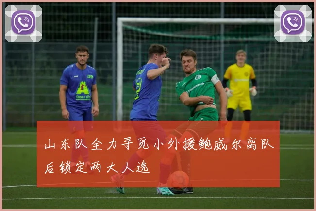 山东队全力寻觅小外援鲍威尔离队后锁定两大人选