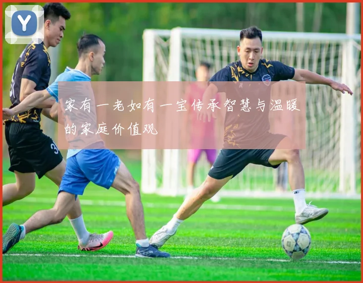 家有一老如有一宝传承智慧与温暖的家庭价值观
